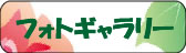 フォトギャラリー