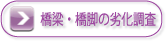 橋梁・橋脚の劣化調査