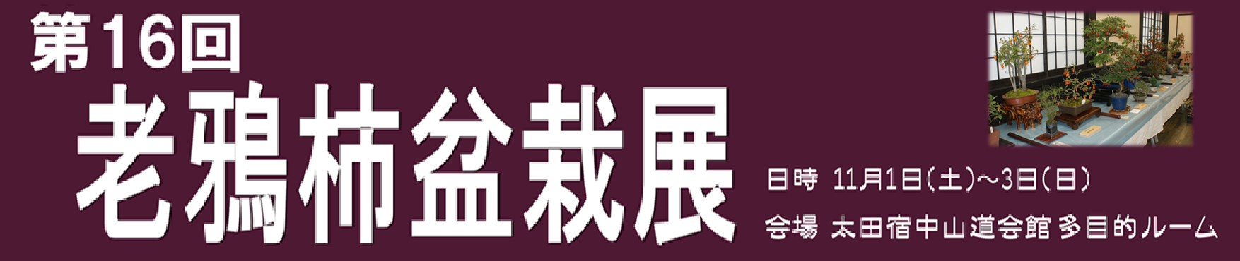 盆栽2